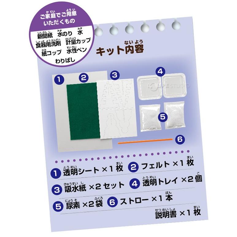 結晶実験キット 結晶作り 夏休み 自由研究 実験セット 子供用 小学生 おもしろ実験 簡単 科学 化学 理科 クリスマスプレゼント Gin 699 ルーペスタジオ 通販 Yahoo ショッピング