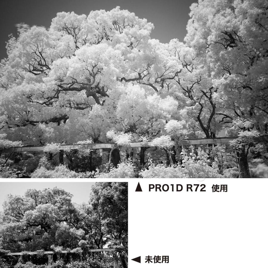 デジカメ フィルター 58mm デジタルカメラ用近赤外線透過フィルター 58