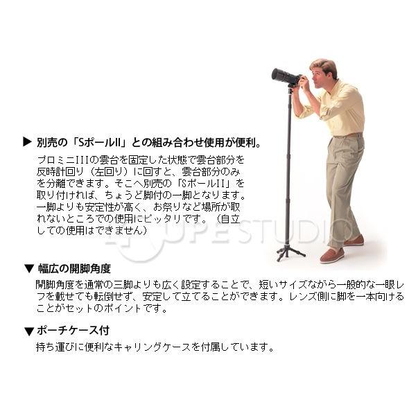 ケンコー・トキナー（KenkoTokina） 自由雲台 スリック SBH-150 DQN