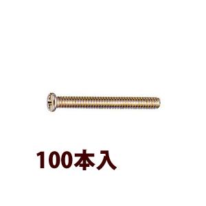 ネジ ねじ ±ツーポイントネジG1.4×12.0 100本入 メガネ 眼鏡