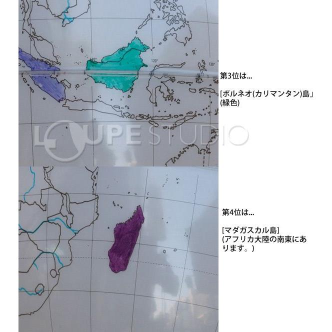 自由研究 白地図 地球儀 30cm 夏休み 自由研究 キット 学習 子供用 マーカーで書き込める 入学祝い 小学校 イタリア製 寄せ書き 手書き 結｜loupe｜06