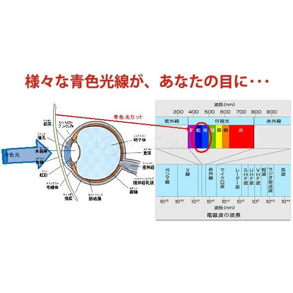 PC用クリップグラス 青色光線軽減レンズ エロイコ ナチュレ NR-27 パソコンメガネ ブルーライトカット 軽量 眼鏡 跳ね上げ PCメガネ メガネ｜loupe｜03