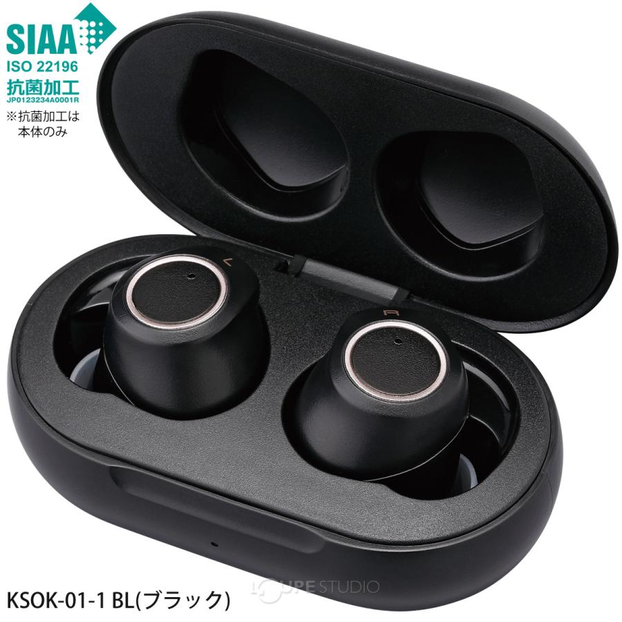 集音器 イヤホン型 耳穴型集音器聞こえーるI 充電式 小型 軽量 両耳