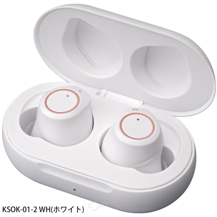 集音器 イヤホン型 耳穴型集音器聞こえーるI 充電式 小型 軽量 両耳