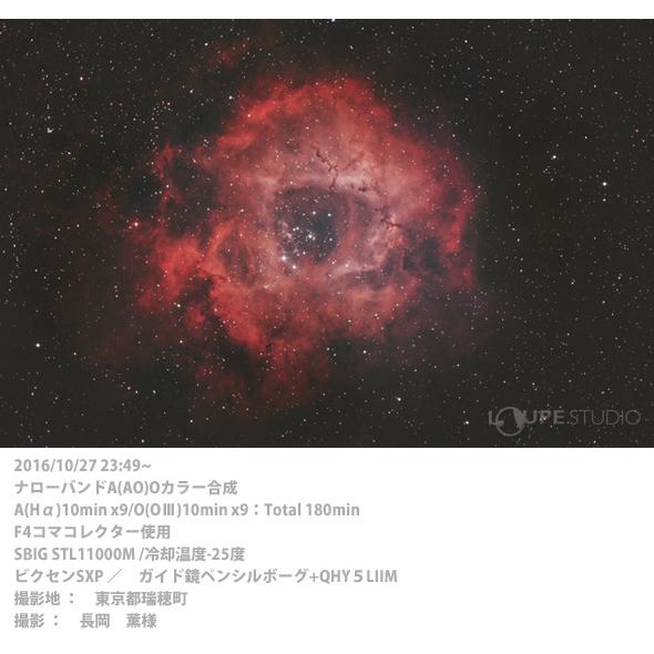 Sky-Watcher（スカイウォッチャー） 天体望遠鏡 QUATTRO200P-LPF (旧 