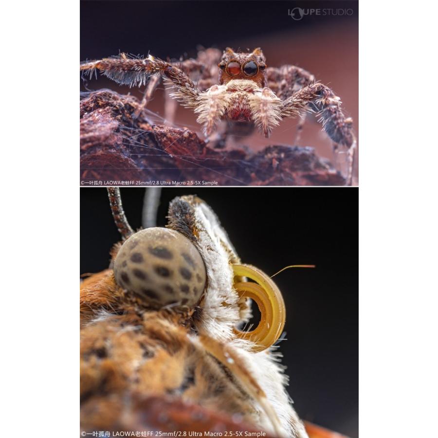 LAOWA（ラオワ） 一眼レフ 交換レンズ 超マクロレンズ 単焦点 25mm F2