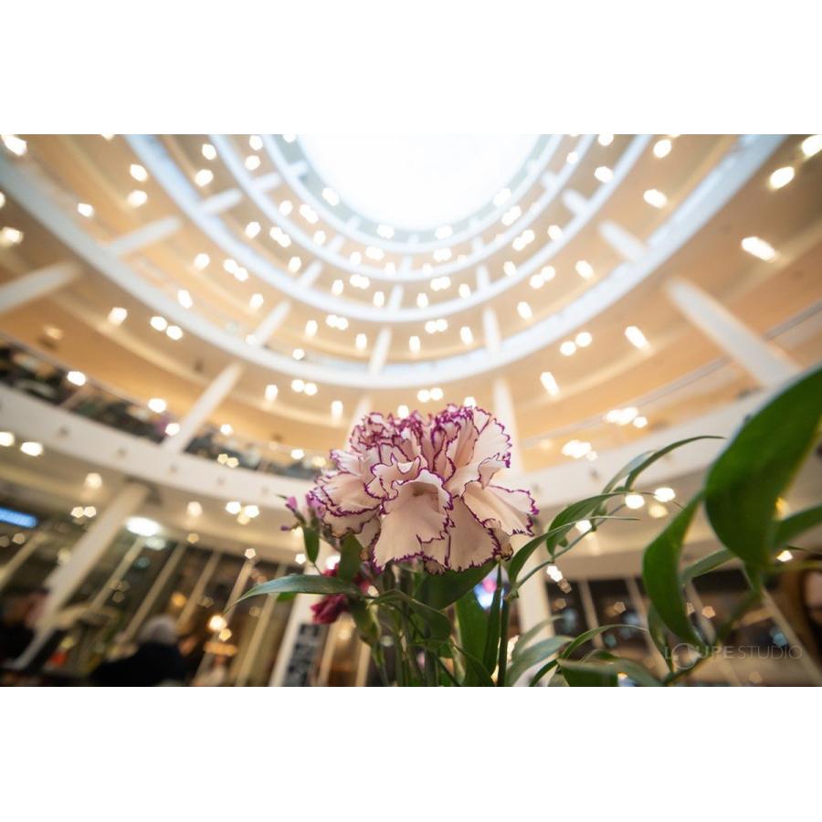 一眼レフ ミラーレス 交換レンズ 超広角ズームレンズ LAOWA 12-24mm F5.6 ZOOM Leica M マニュアルフォーカス フルフレー_11