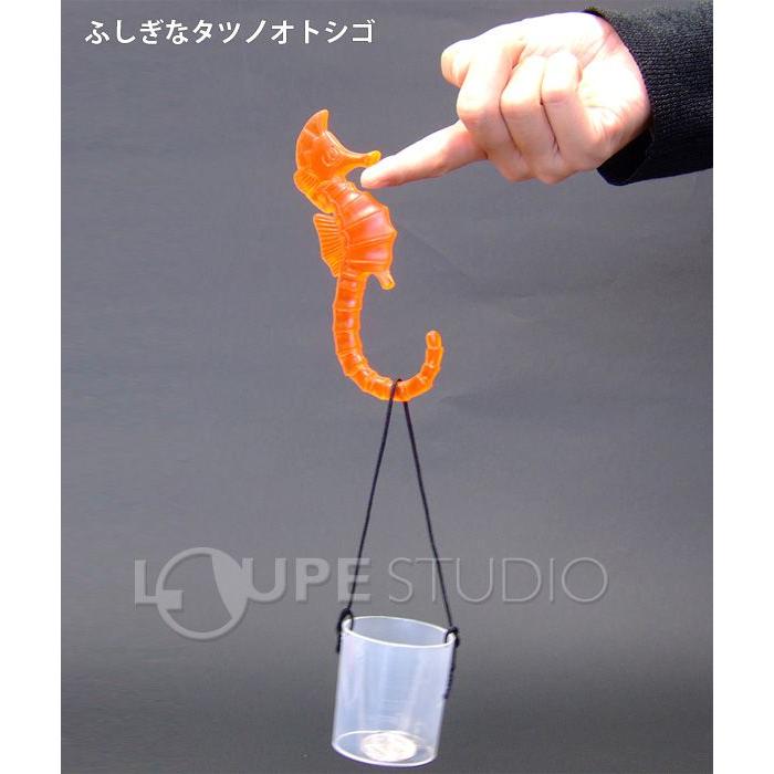 実験 工作道具 よくわかる なるほど物理じっけんセット 262 新日本通商 おもしろ実験 キット Snt 010 ルーペスタジオ 通販 Yahoo ショッピング