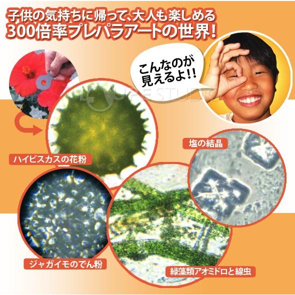 スマホで見れる 顕微鏡 スーパールーペ 300倍 世界最小薄型顕微鏡