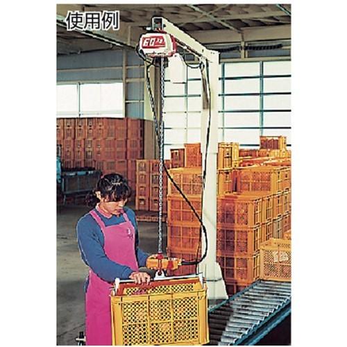 CA017 キトー KITO 電気チェーンブロック ED24ST