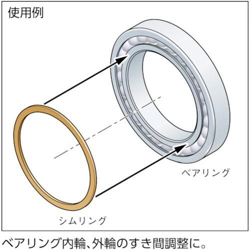 シムリング IWATA シムリング(鉄) 4X6X0.5mm (10枚入) [RF004006050] RF004006050 販売単位：1｜loupe｜02