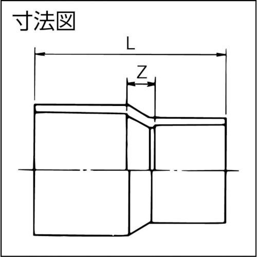 塩ビ管TS継手 クボタケミックス TS継手 異径ソケット TS-S 40X25 [TSS40X25] TSS40X25 販売単位：1｜loupe｜02