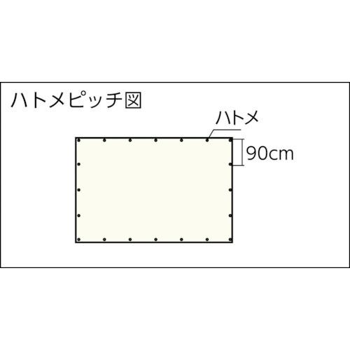 TRUSCO トラスコ中山 ブルーシートα2500寸法3.6m×5.4m [BSA25-3654] BSA253654 販売単位：1｜loupe｜02