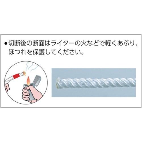 ナイロン 高木 JISナイロンロープ 6.0mm×200m [36-7404] 367404 販売単位：1 送料無料｜loupe｜02