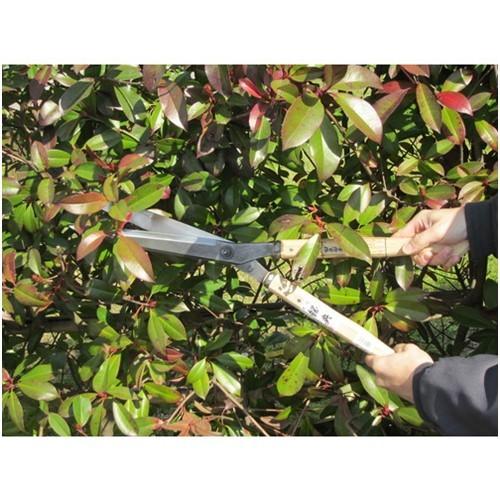 鋼典 刈込鋏 安来鋼付ネジ式トメ付 1尺樫 和釘打桂コブ柄 [A-71] A71 販売単位：1 送料無料_5