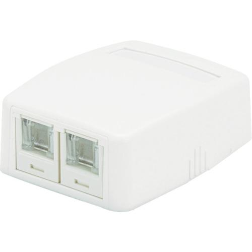 パンドウイット PANDUIT 2個口ローゼット JOQ2H500 10個セット PANDUIT CAT5Eスプリングシャッター付きローゼットキット 2個口 白