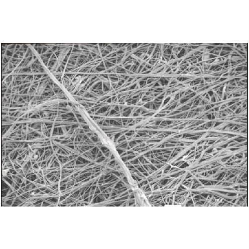 チグサ　ウラシク クレシア キムテックス タオルタイプ [60712] 60712 販売単位：1 送料