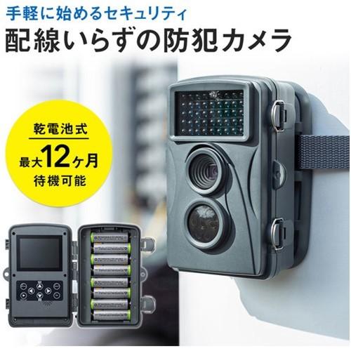 SANWA セキュリティカメラ [CMS-SC01GY] CMSSC01GY 販売単位：1