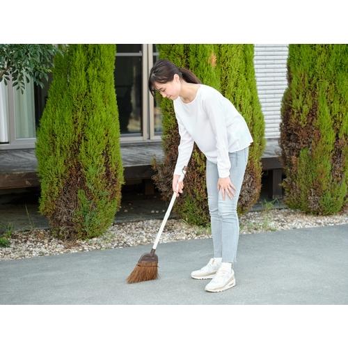 しるくSs コンドル DAILYCLEAN 庭箒(シダ)S 2 [205349] 205349 販売単位：1