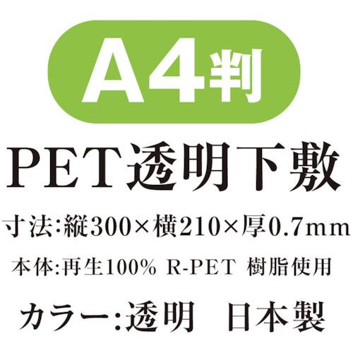 共栄プラスチック PET透明下敷 A4 [P-1307] P1307  販売単位：1｜loupe｜04