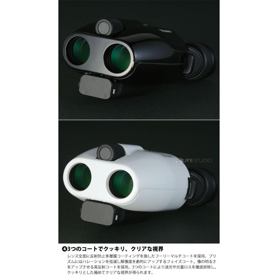 ビクセン アテラ双眼鏡 ライヴ双眼鏡 Atera H10 21 防振双眼鏡 スマホ撮影セット コンサート ドーム ライブ おすすめ 10倍 コンパクト Vi Bino 001 ルーペスタジオ 通販 Yahoo ショッピング