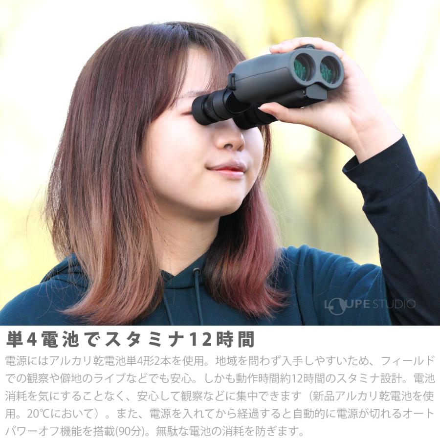 双眼鏡 防振双眼鏡 12倍 ATERA II H12x30