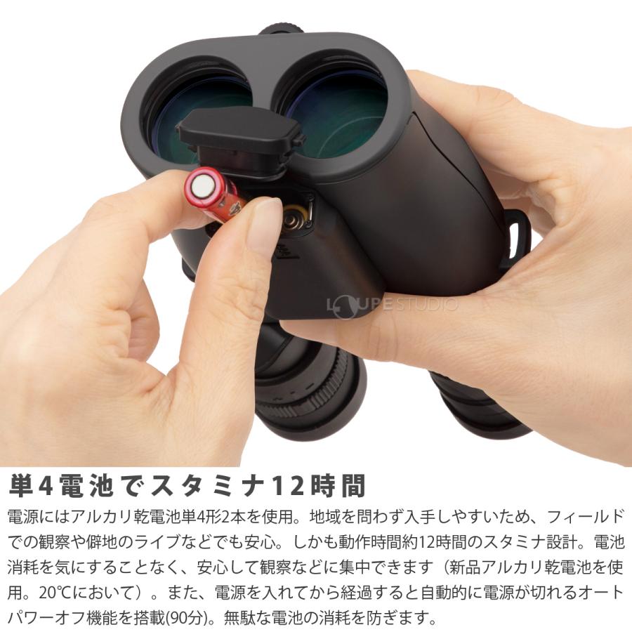 双眼鏡 防振双眼鏡 ビクセン 12倍 ATERA II H12x30 チャコール