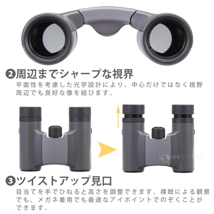 ビクセン 双眼鏡 10倍 アリーナ H+ 10x21WP コンサート用 ライブ