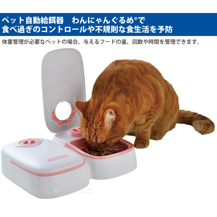 ペット自動給餌器 ウェット対応 わんにゃんぐるめR 犬 猫 ペット エサ