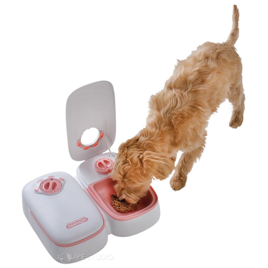 ペット自動給餌器 ウェット対応 わんにゃんぐるめr 猫 犬 旅行 餌やり 外出 エサ 給餌 ペット 不在 自動