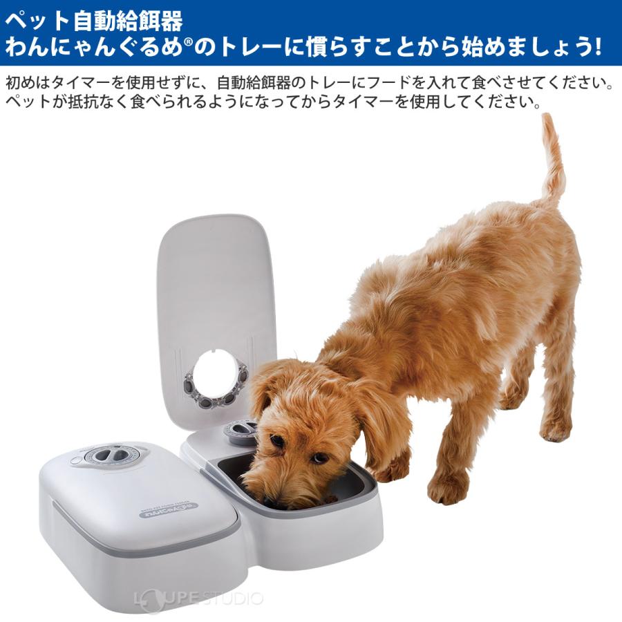ペット自動給餌器 ウェット対応 わんにゃんぐるめR 犬 猫 ペット エサ
