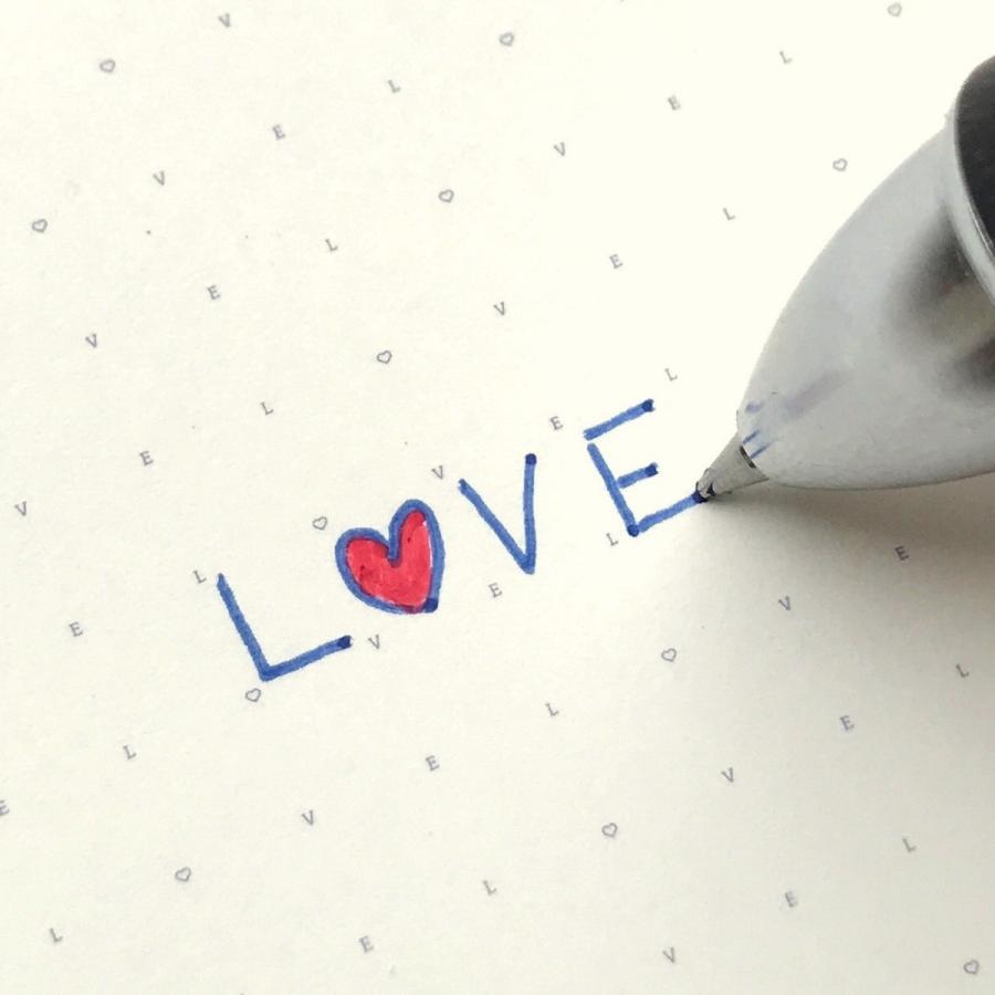 システム手帳 リフィル バイブル 6穴 女性 メモ帳 インデックス