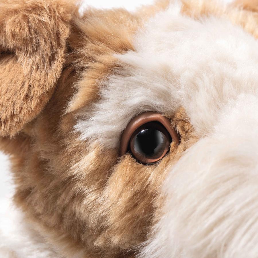 Steiff（シュタイフ） フォックステリアのフォクシー 32cm EAN076862