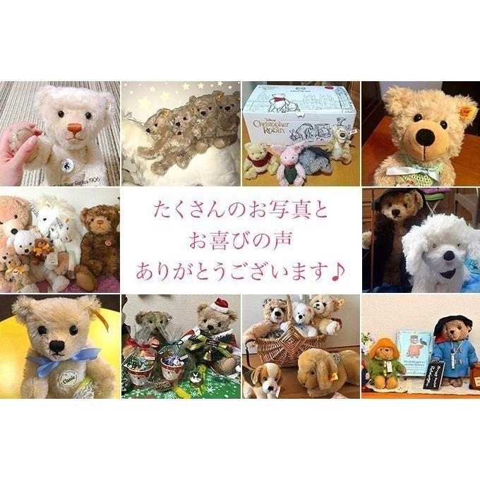 Steiff（シュタイフ） シュタイフ正規店 テディベア フィン 18cm
