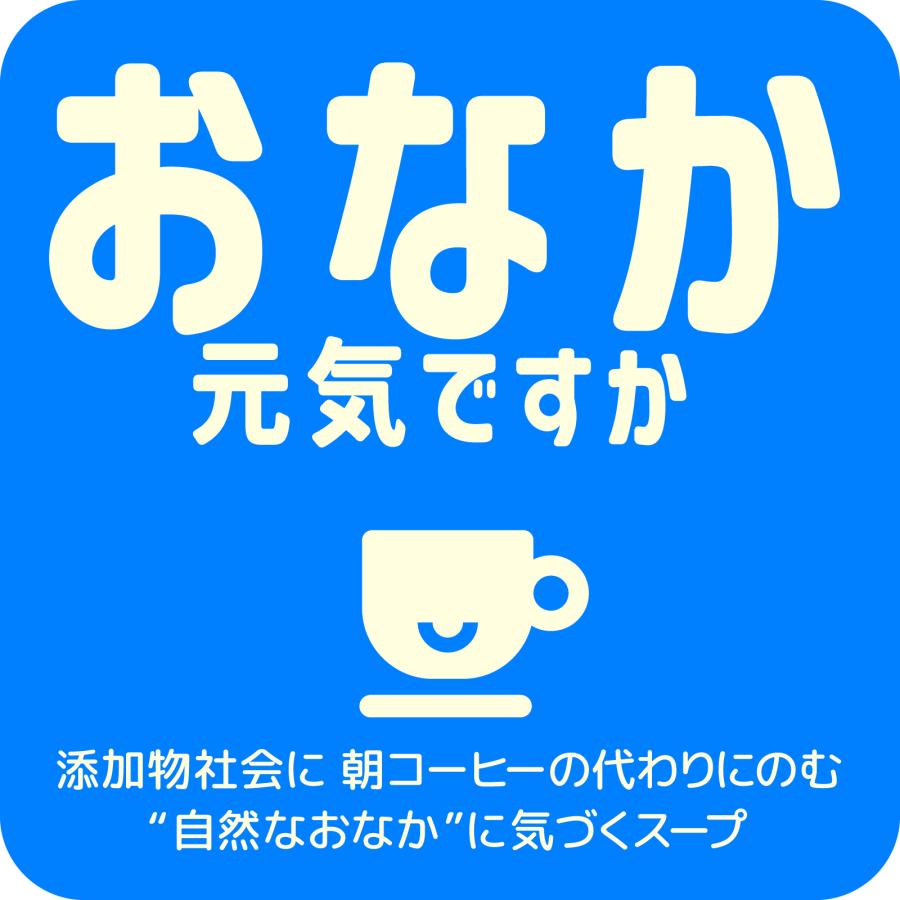 リフレッシュスープ１０P ×１_おなかや |  | 02