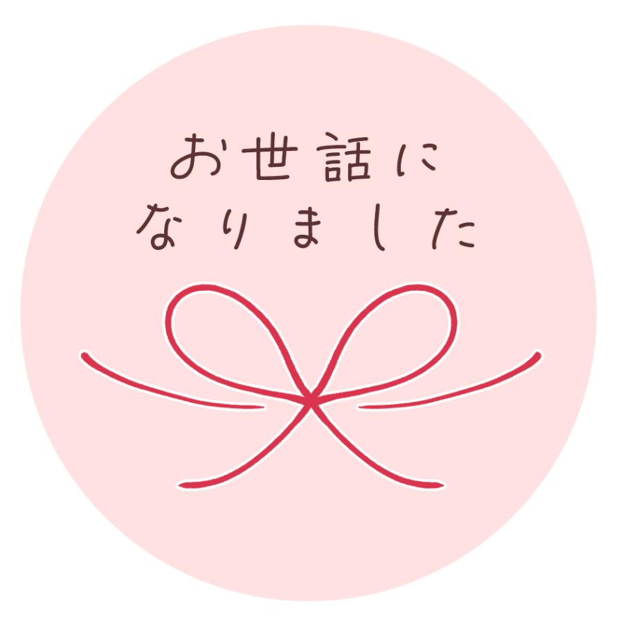 お世話になりました シール 水引 24枚 ギフト かわいい 和風 |  | 01