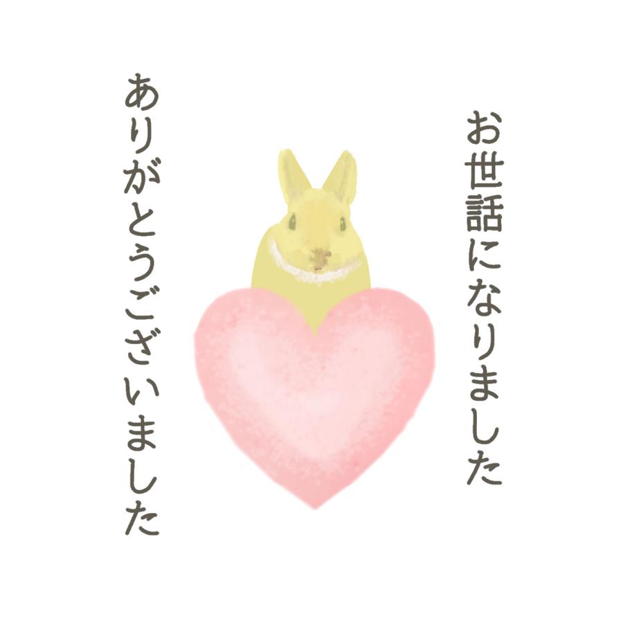 お世話になりました ありがとうございました シール ウサギ 40枚 ギフト かわいい |  | 03