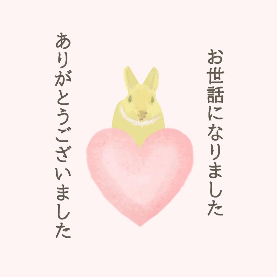 お世話になりました ありがとうございました シール ウサギ 40枚 ギフト かわいい |  | 04