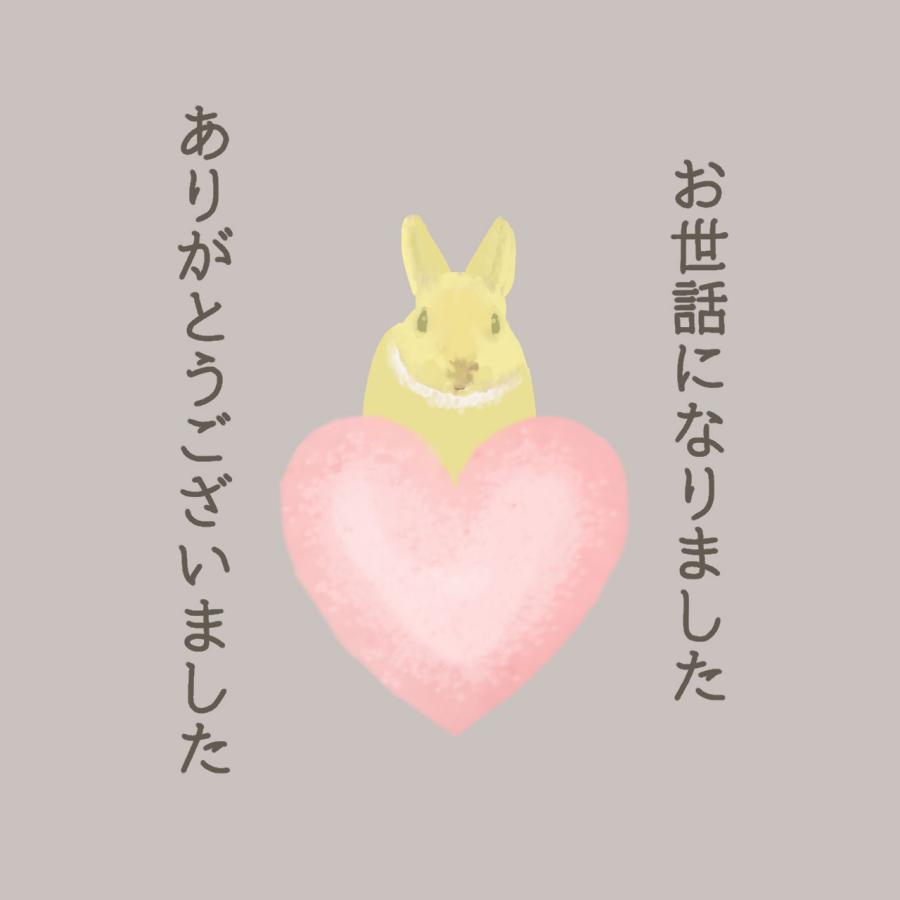 お世話になりました ありがとうございました シール ウサギ 40枚 ギフト かわいい |  | 05