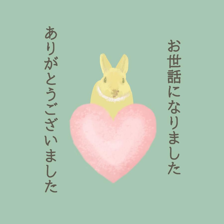 お世話になりました ありがとうございました シール ウサギ 40枚 ギフト かわいい |  | 06