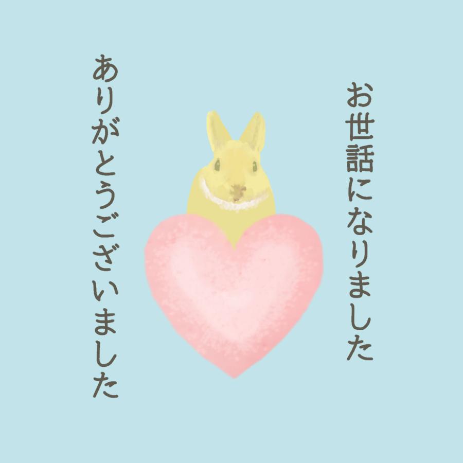 お世話になりました ありがとうございました シール ウサギ 40枚 ギフト かわいい |  | 07