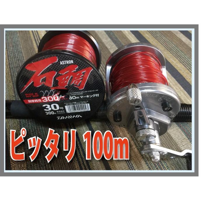 ジギング スタンディング 石鯛にAVET REELS LX 4.6/6.0 MC LEVER DRAG