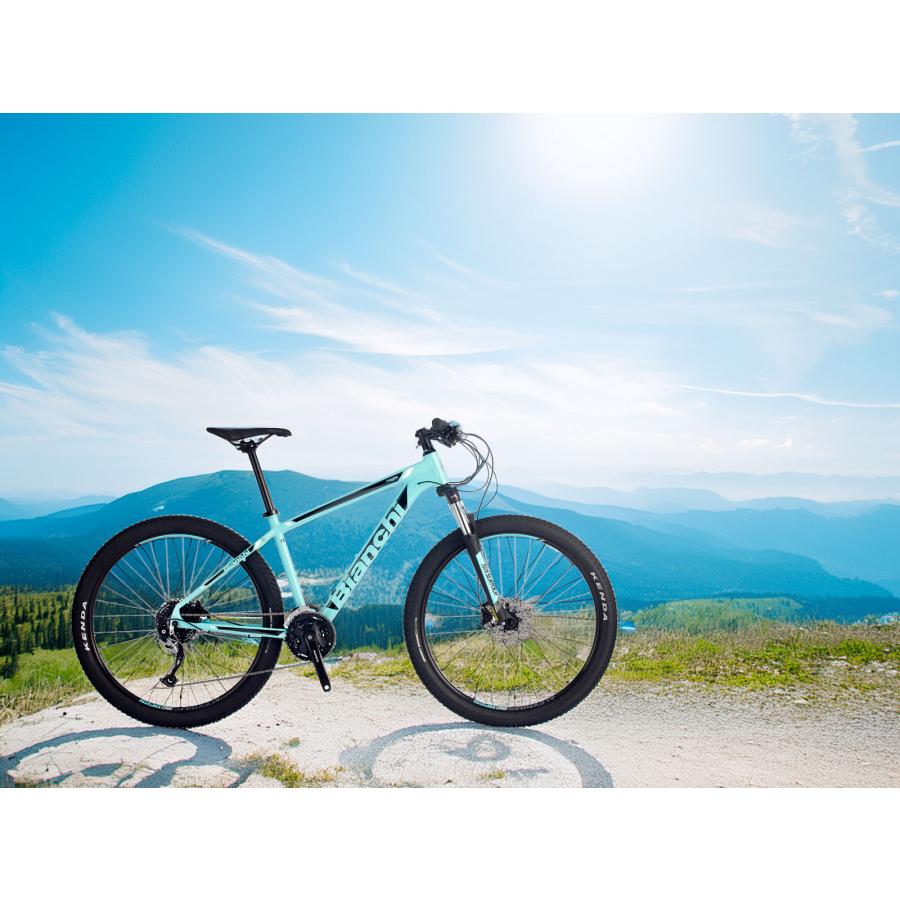 ビアンキ　マグマ　7.2 マウンテンバイク　未使用品 ウエムラサイクルパーツインターネット店 / Bianchi(ビアンキ) MAGMA