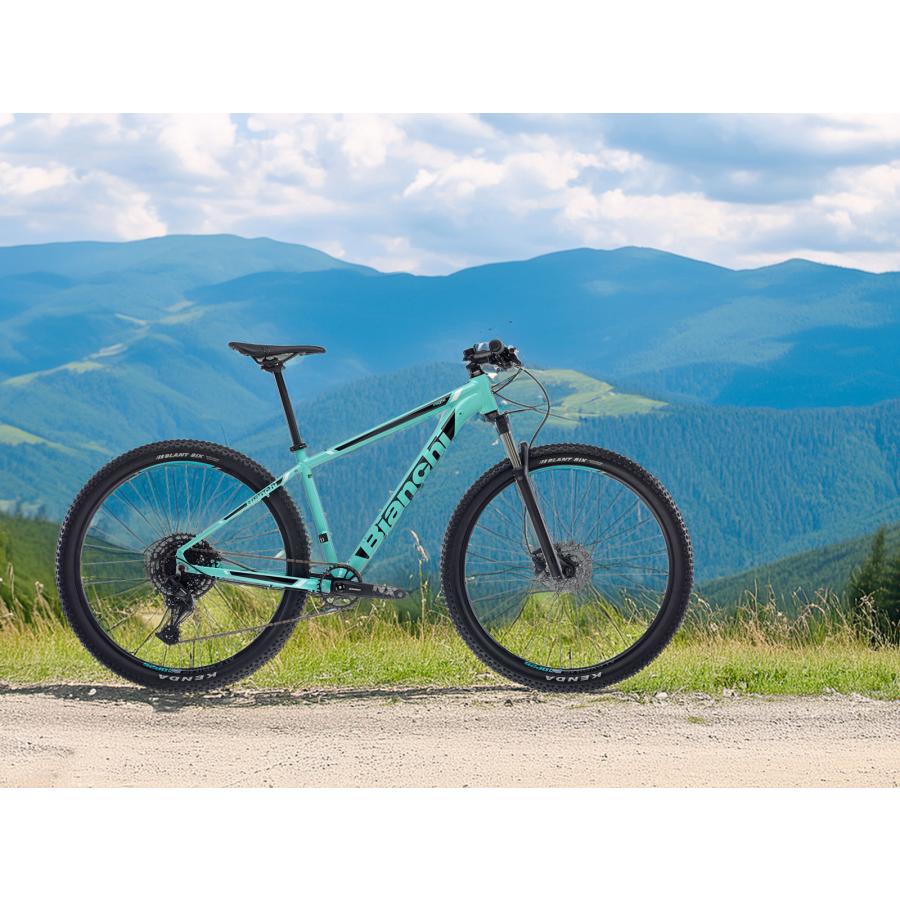 Bianchi（ビアンキ） マウンテンバイク BIANCHI MAGMA 9.1 38cm
