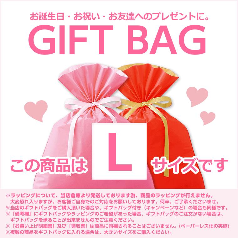 レイス 【ギフト袋+特典付】レイス アナと雪の女王 はがせる ネイル 18