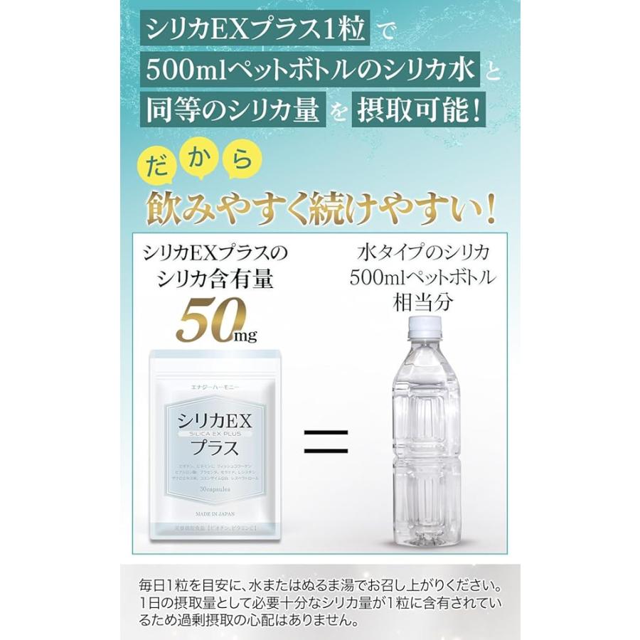 薬剤師監修】 シリカEXプラス 栄養機能食品 シリカ ケイ素