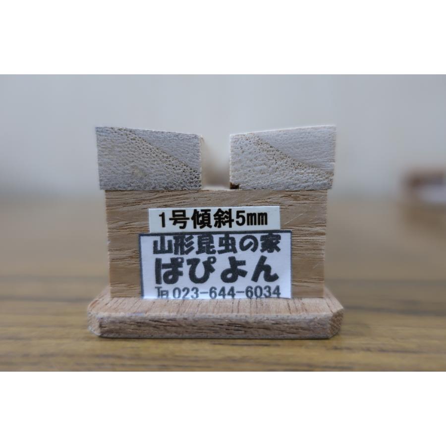 傾斜展翅板（日本製） 1号 : ラブリーインセクト - 通販 - Yahoo