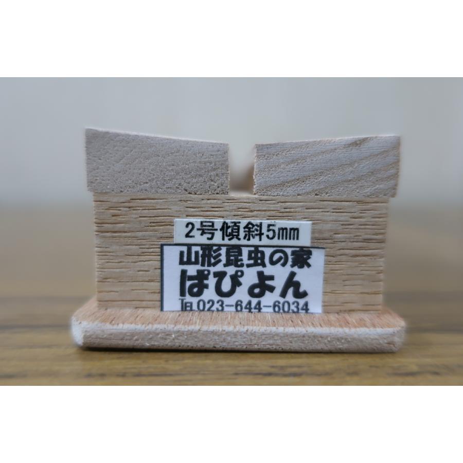 傾斜展翅板（日本製） 2号 : ラブリーインセクト - 通販 - Yahoo