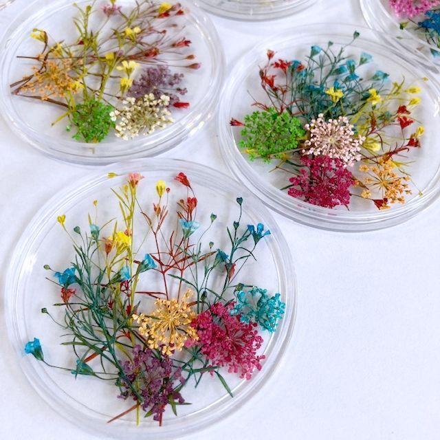 送料0円 メール便可 ドライフラワー 押し花セット ｂタイプ ネイル レジン アクセサリー ハンドメイド ネイルアート ガラスドーム スマホケースデコ Aynaelda Com