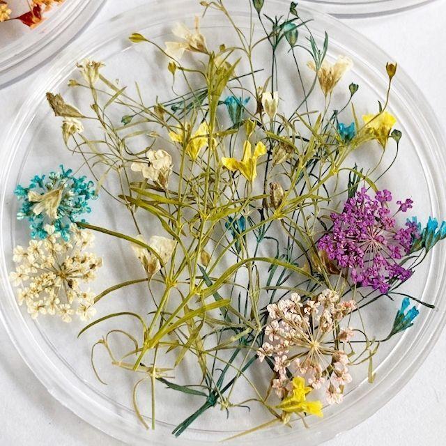 送料0円 メール便可 ドライフラワー 押し花セット ｂタイプ ネイル レジン アクセサリー ハンドメイド ネイルアート ガラスドーム スマホケースデコ Aynaelda Com